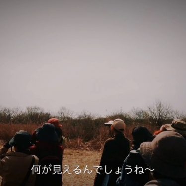 とりで鳥の会探鳥会（小文間のリアルなウソ）