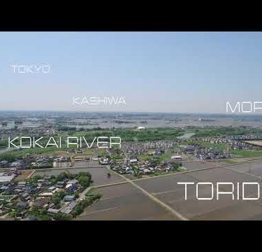 【空撮】田植えの様子（取手市）