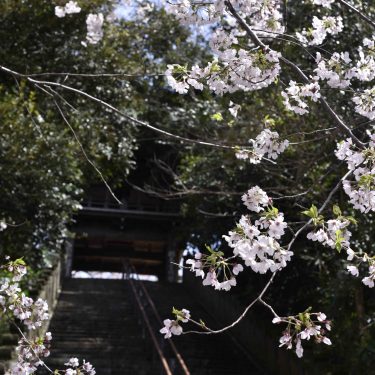 とりでの春景色