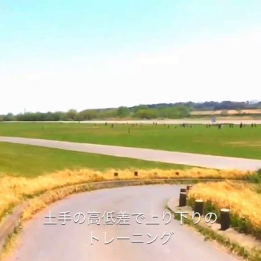 利根川DOTEジョギングコース