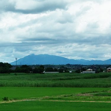 自然の風景