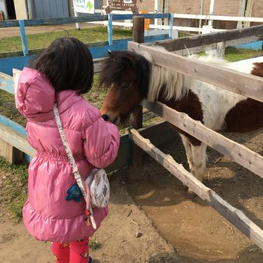 河川敷ポニー乗馬