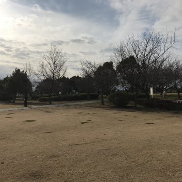 北浦川緑地へ行ってきました