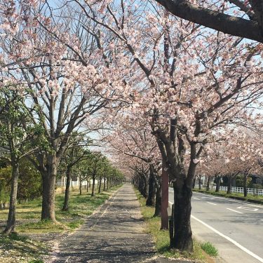 Sakuragaoka Resort