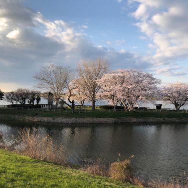 2022 春 岡堰水神岬公園