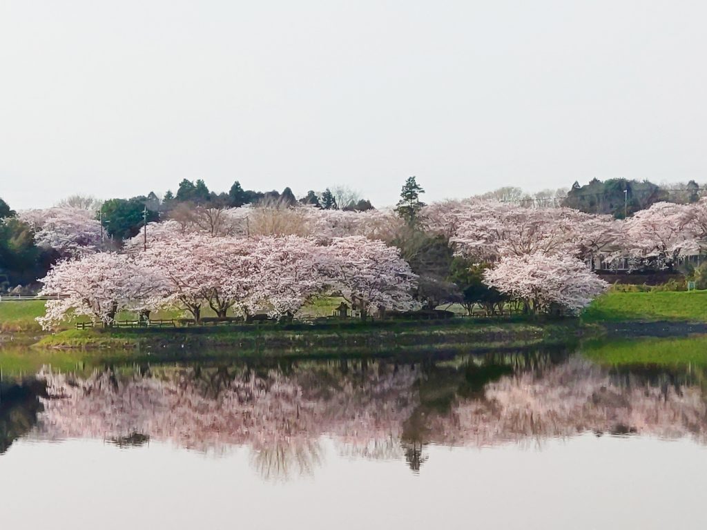 注目のブランド DSC_0218改-1024x768.jpg 絵画