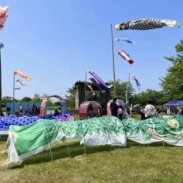 鯉のぼりプロジェクトin岡堰