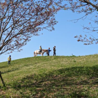 小貝川の乗馬風景