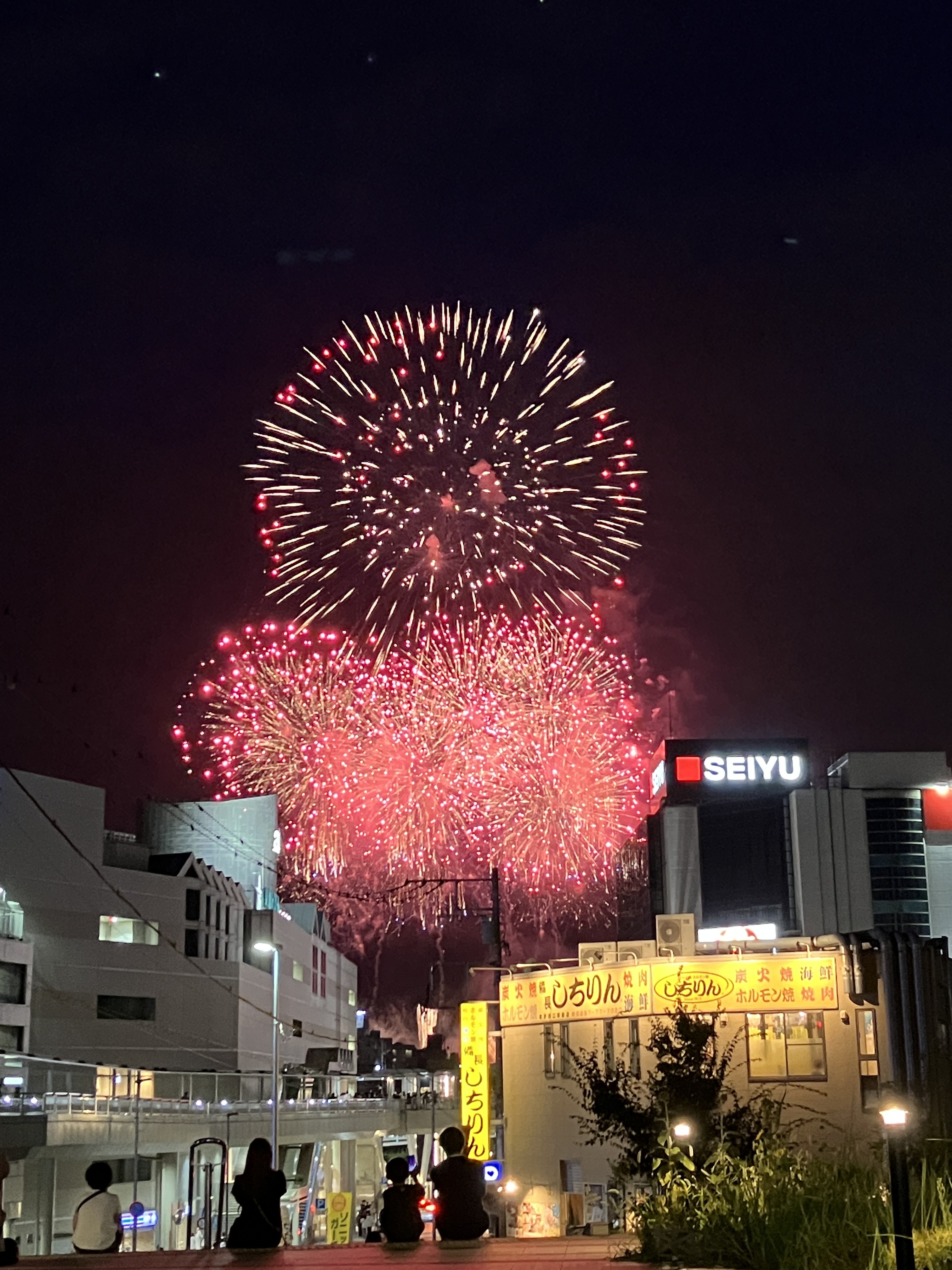 今年も穴場スポットで鑑賞