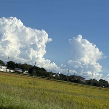 田園風景