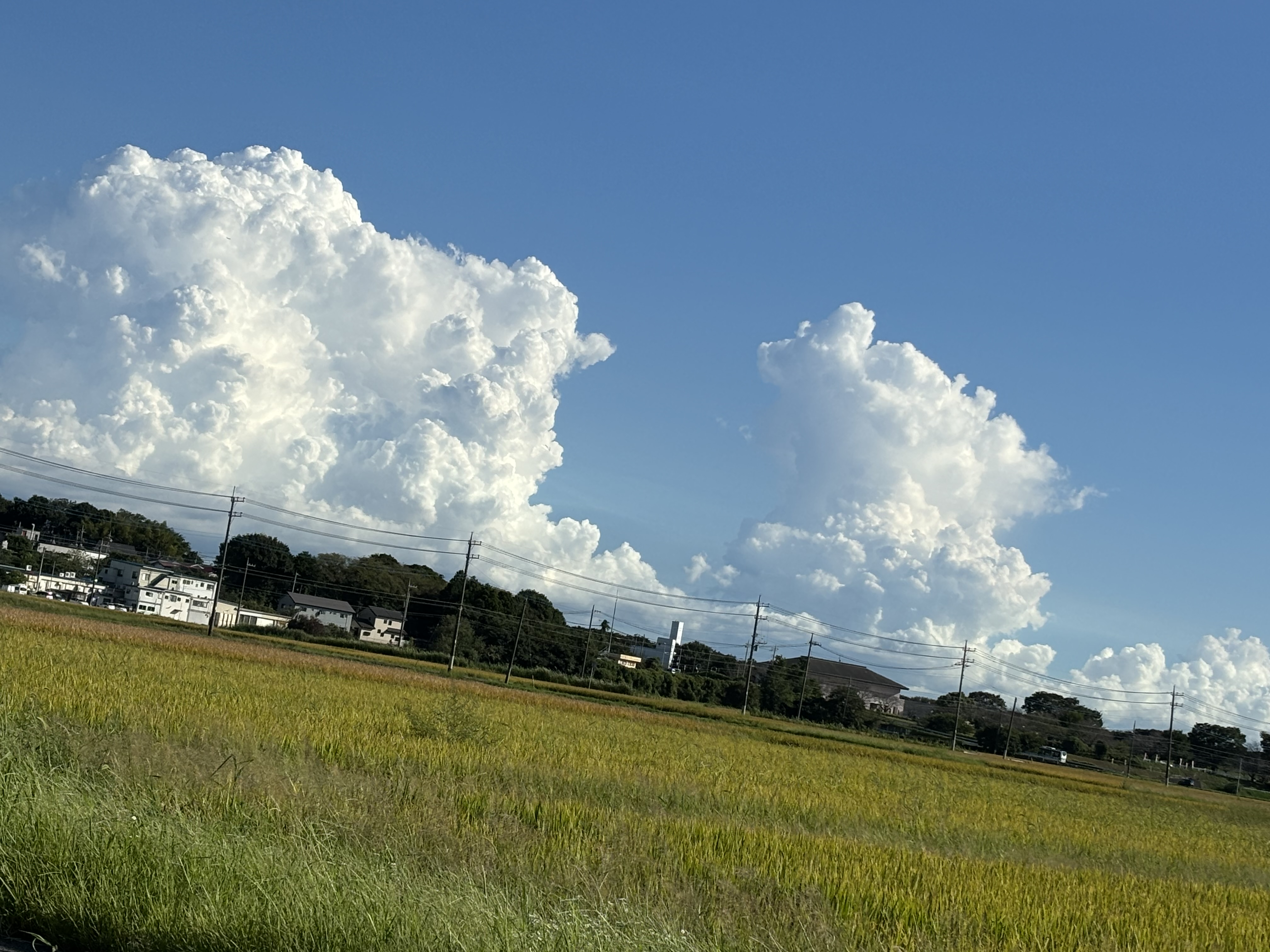 田園風景