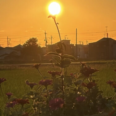 オレンジ色の夕日