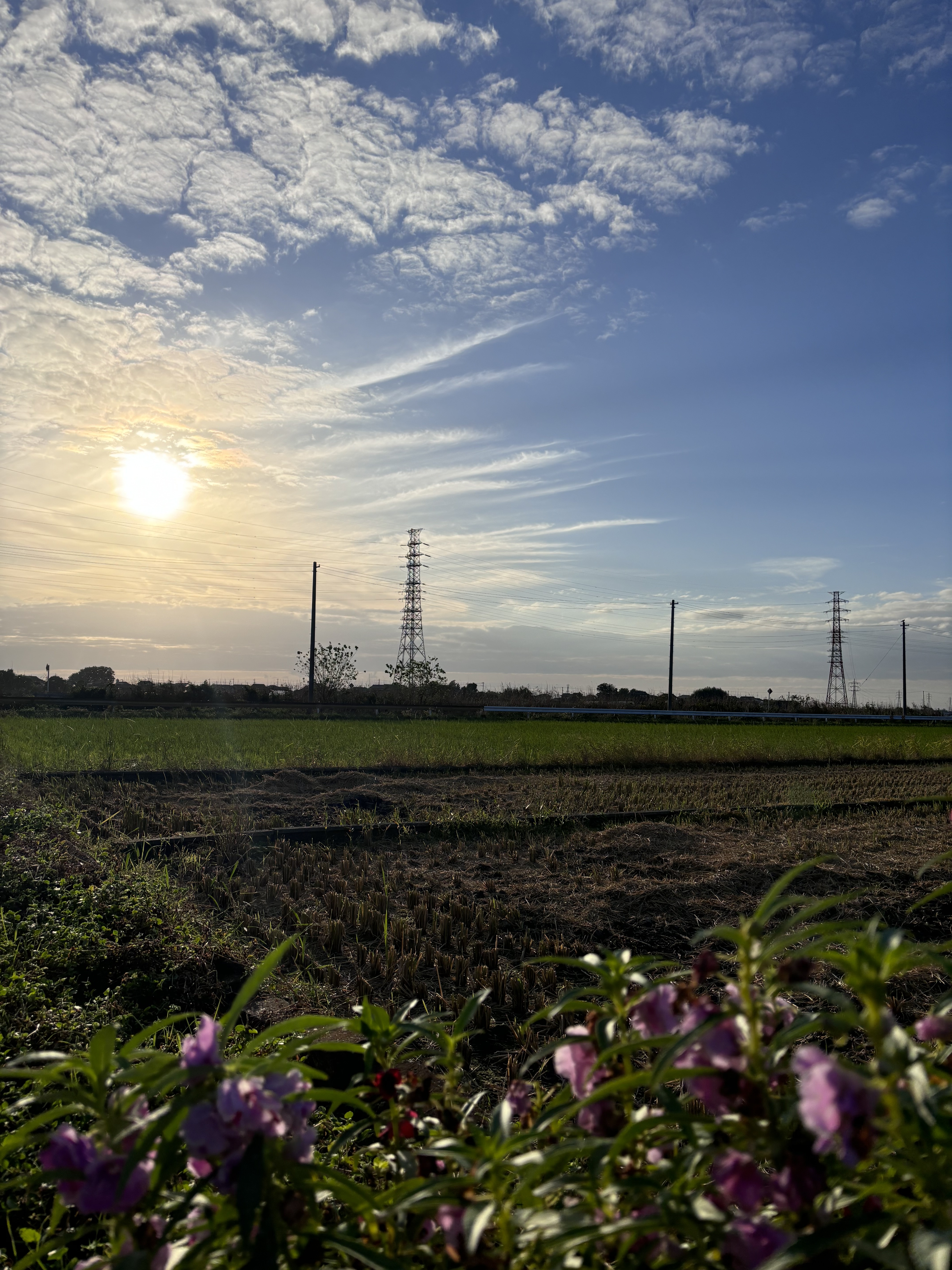 今日は晴れたよー