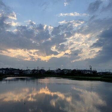 空を映す取手の田んぼ