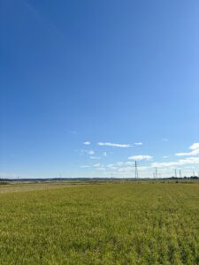 秋の空と大地に癒されて