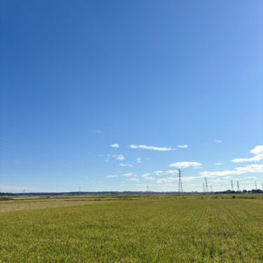 秋の空と大地に癒されて