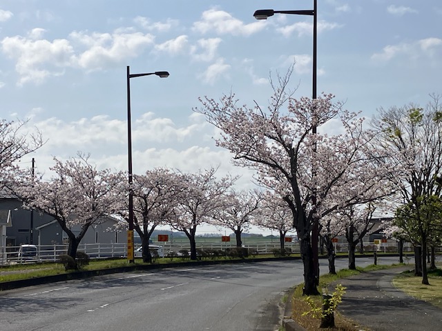名は体を表す