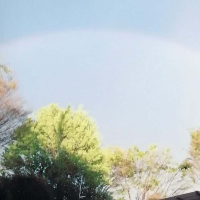 大きな虹