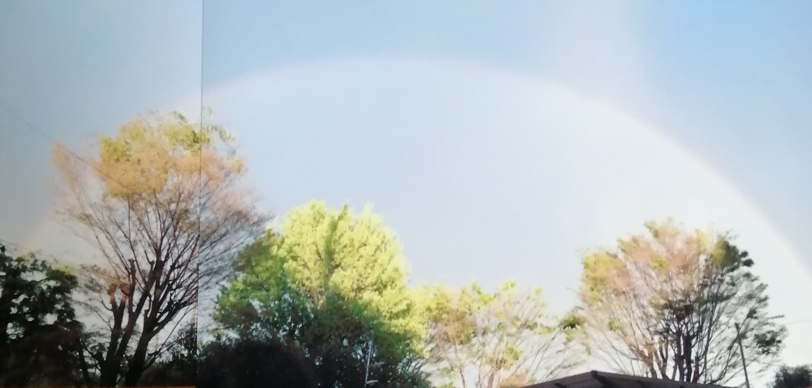 大きな虹