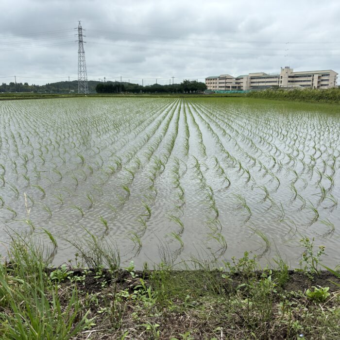 私の好きな景色