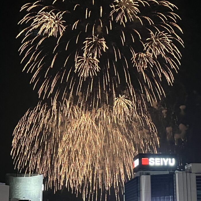 とりで利根川大花火