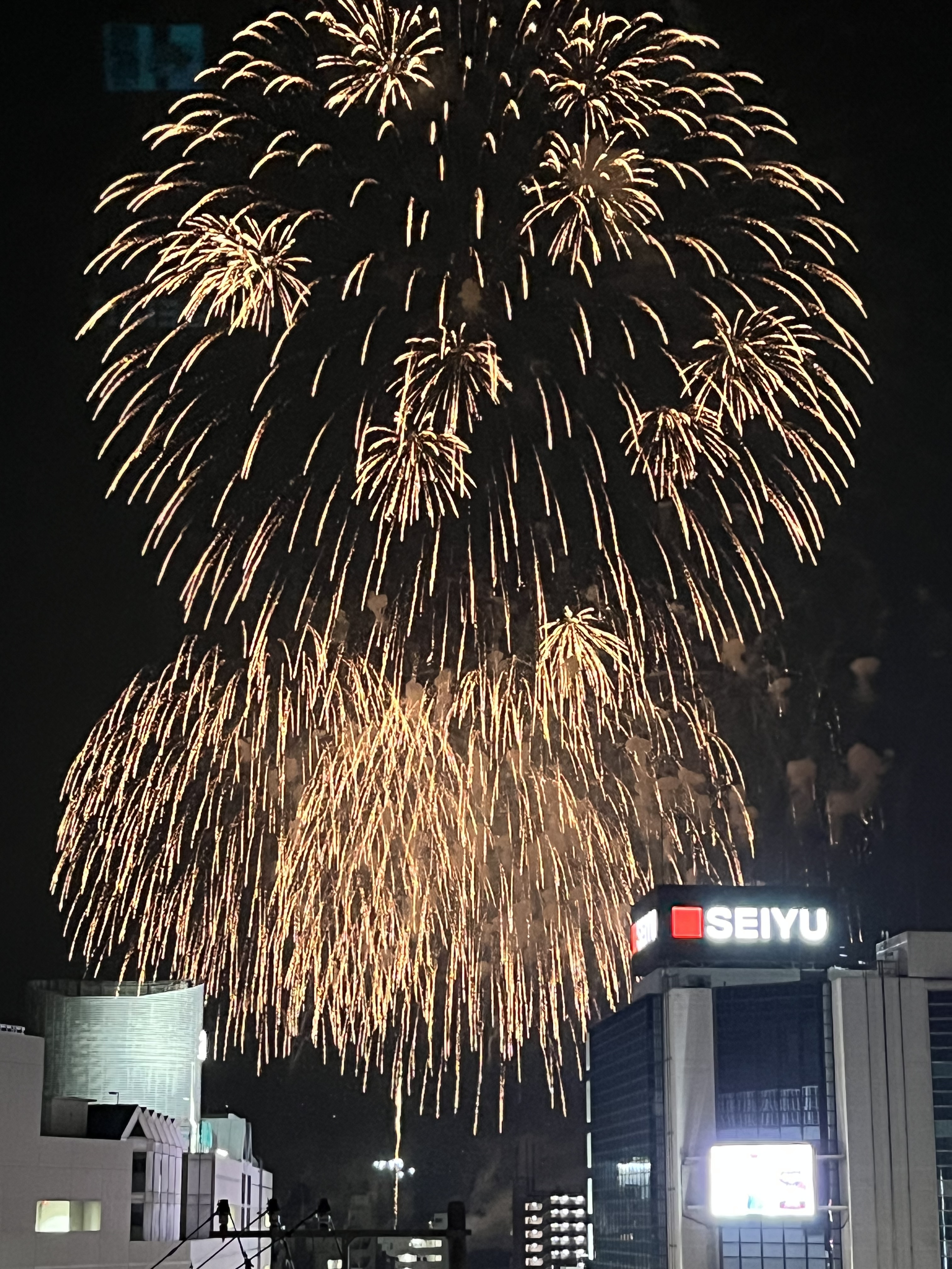 とりで利根川大花火