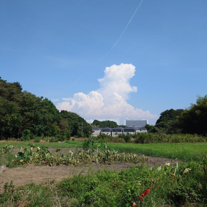 いつまで続く真夏の日