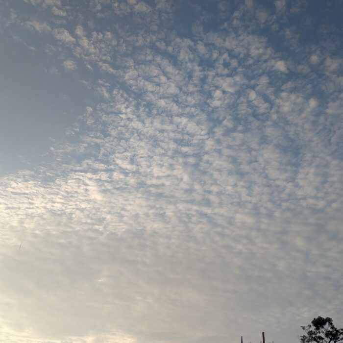 ウロコ雲と夕焼け