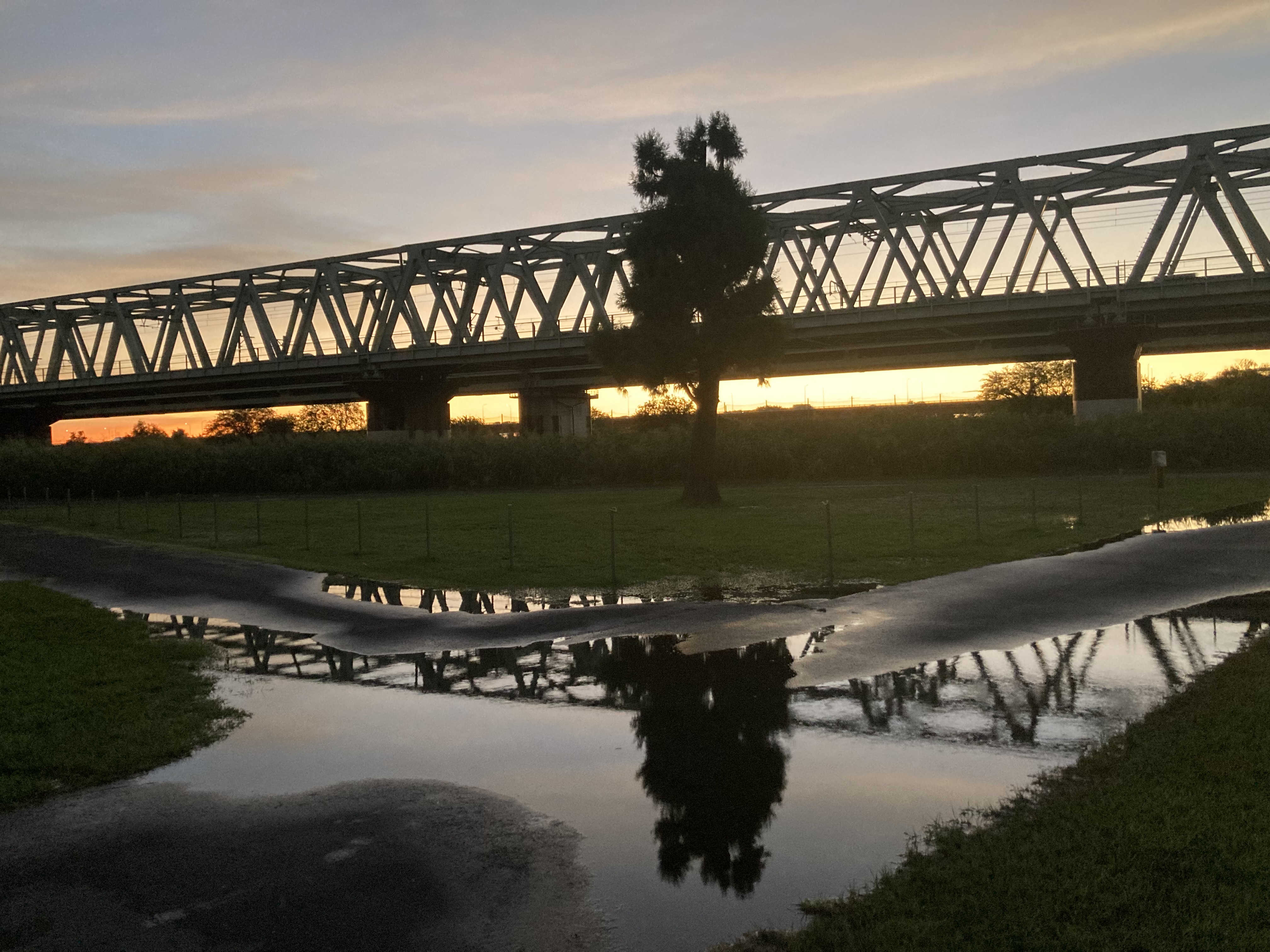 雨上がりの取手緑地公園　リフレクション