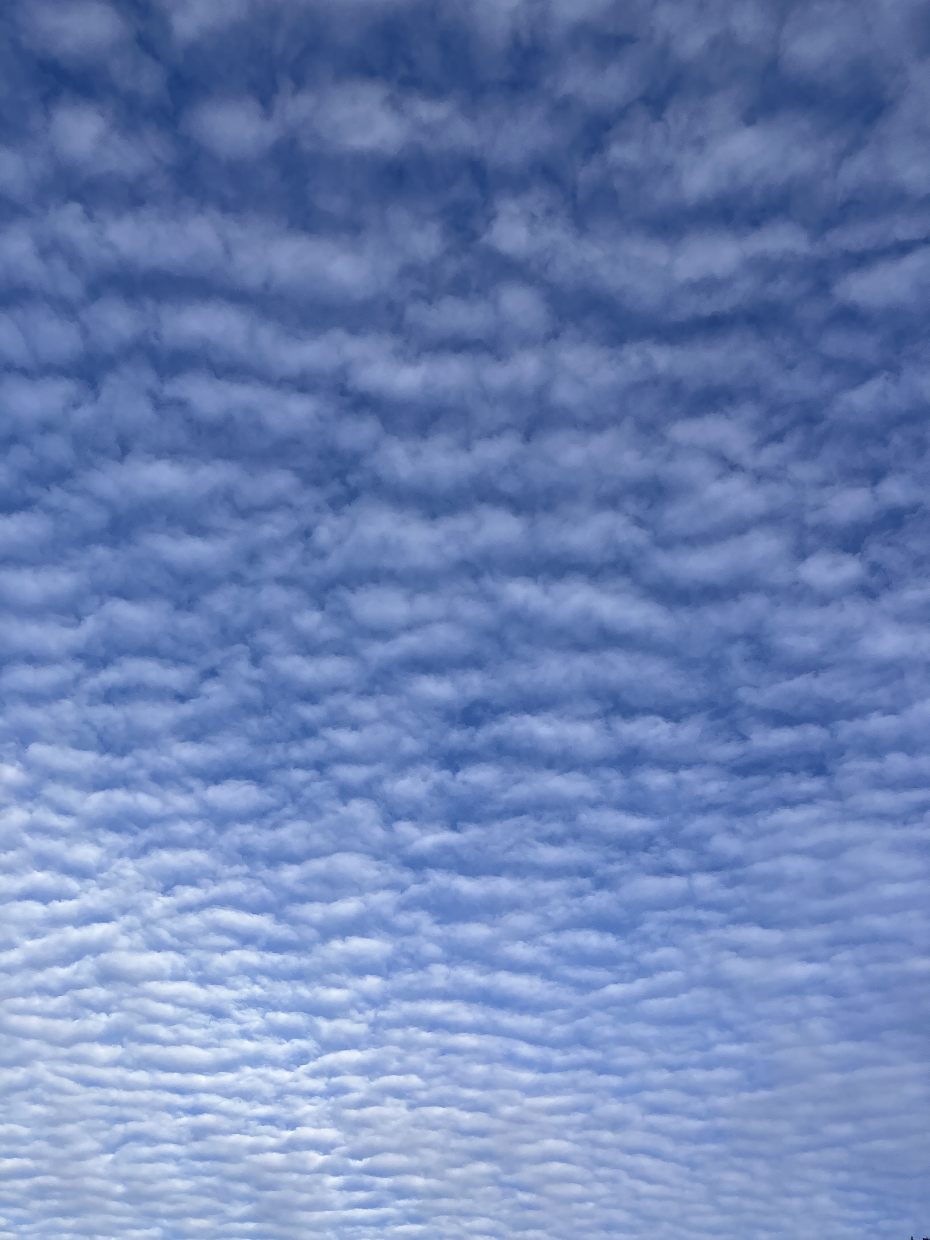 9月22日の取手の空