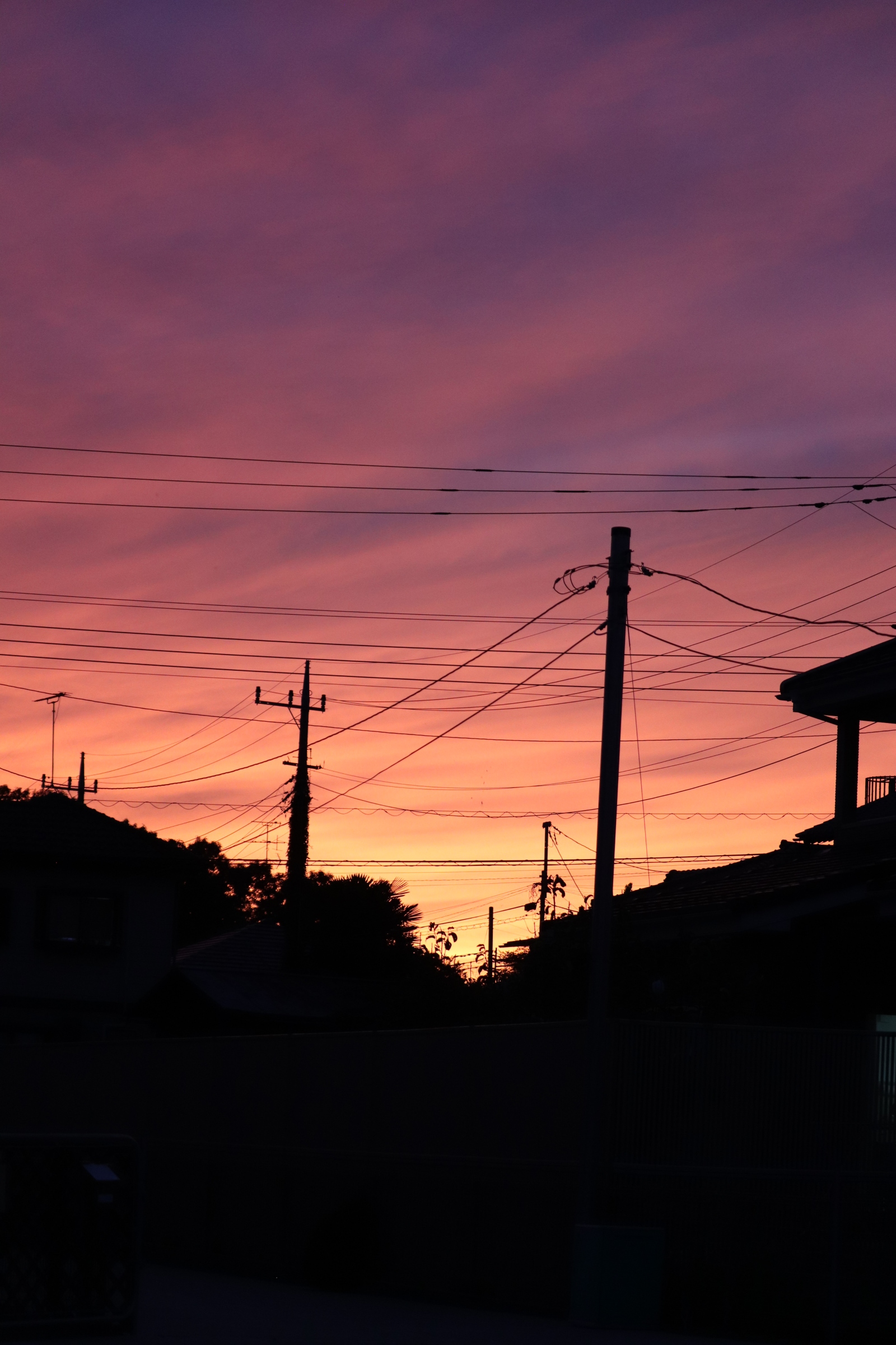 燃える夕日