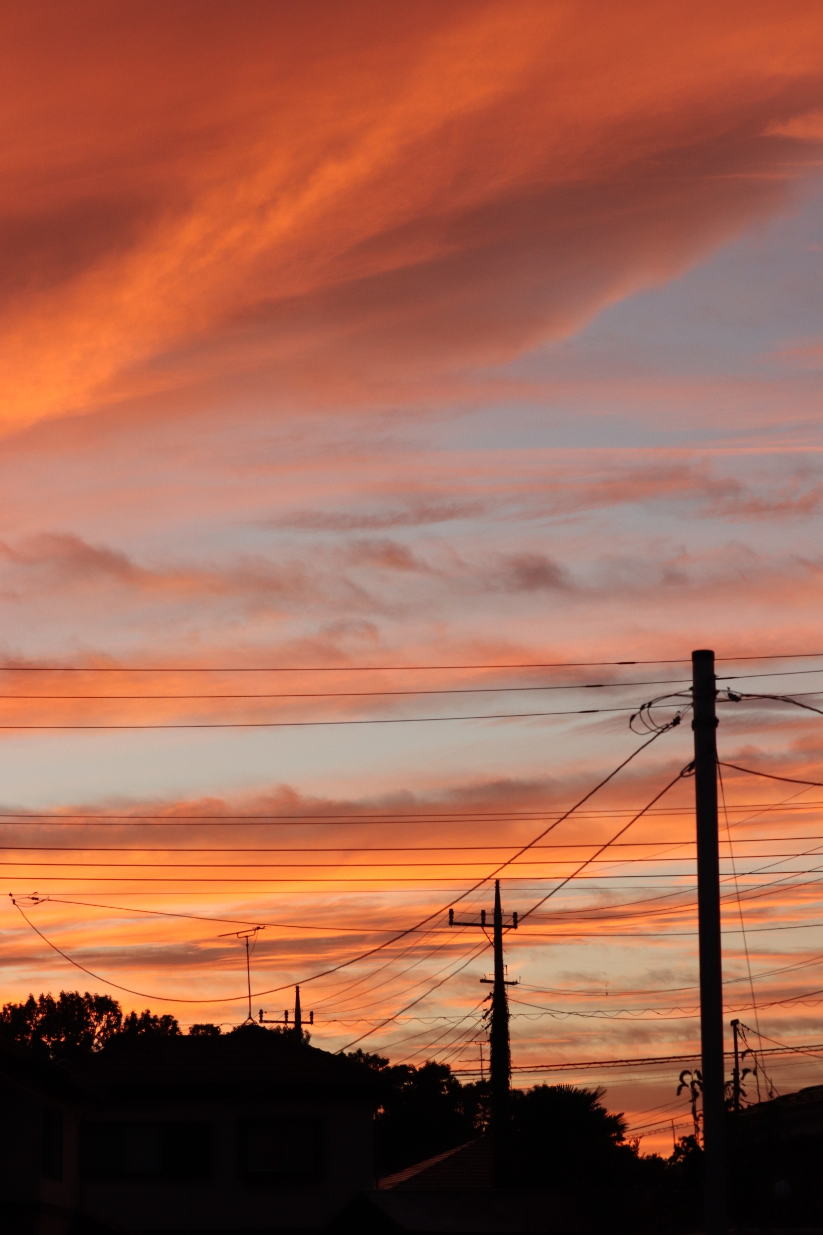オレンジの秋空