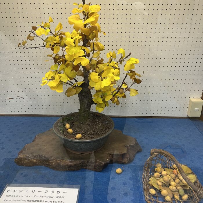 秋の気配