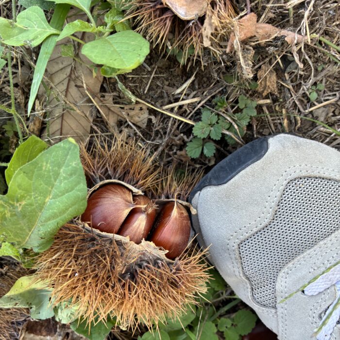 秋を感じるひととき