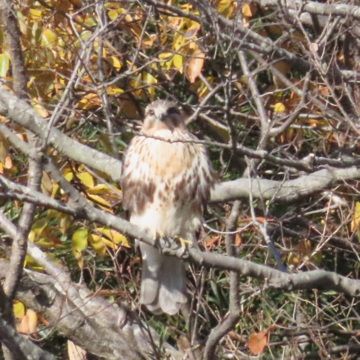 お腹がすいた！