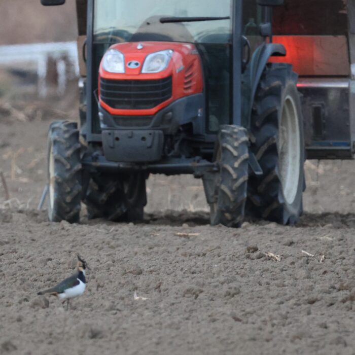 トラクタに襲われ〜る！