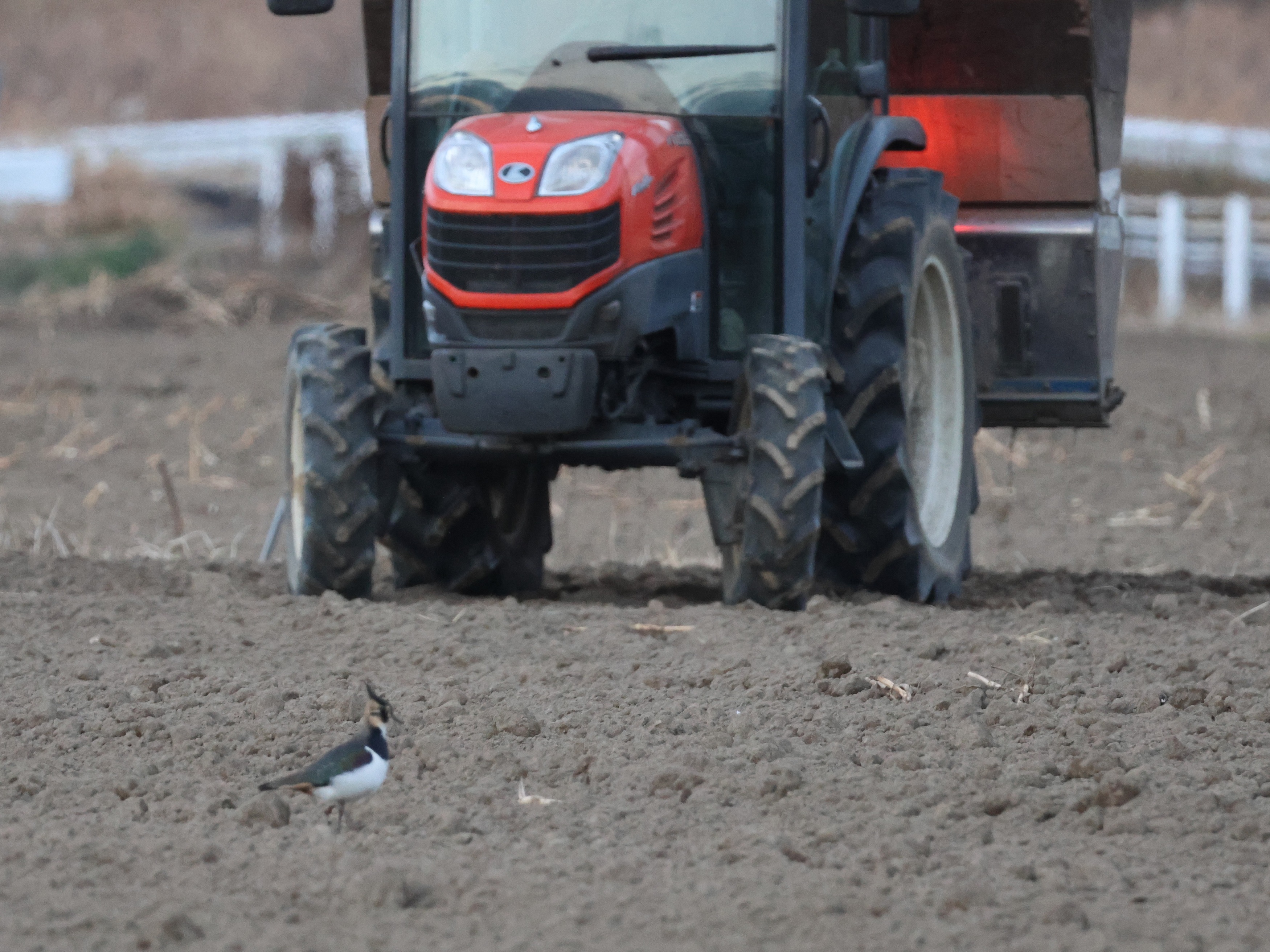 トラクタに襲われ〜る！