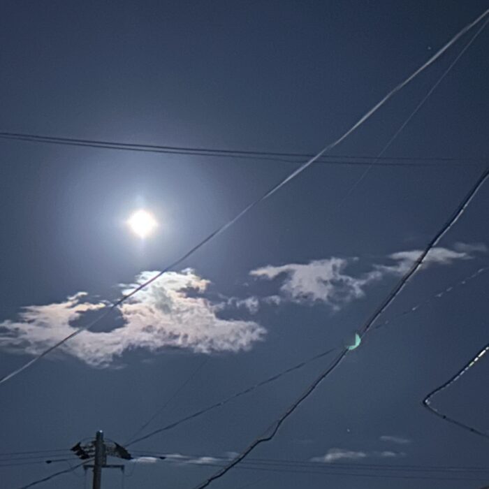 まさかのサンタクロース