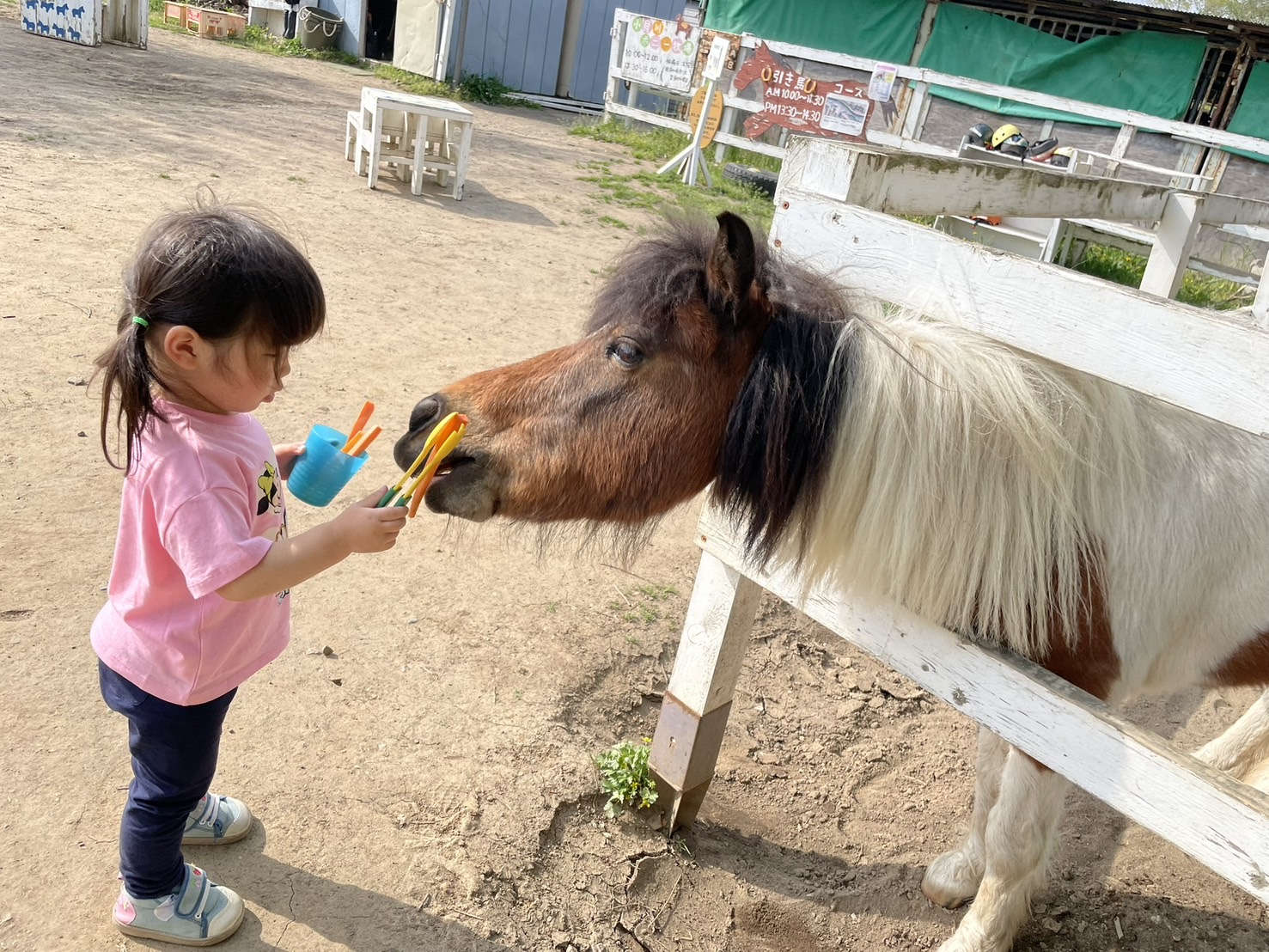 25年間ありがとう！小貝川ポニー牧場
