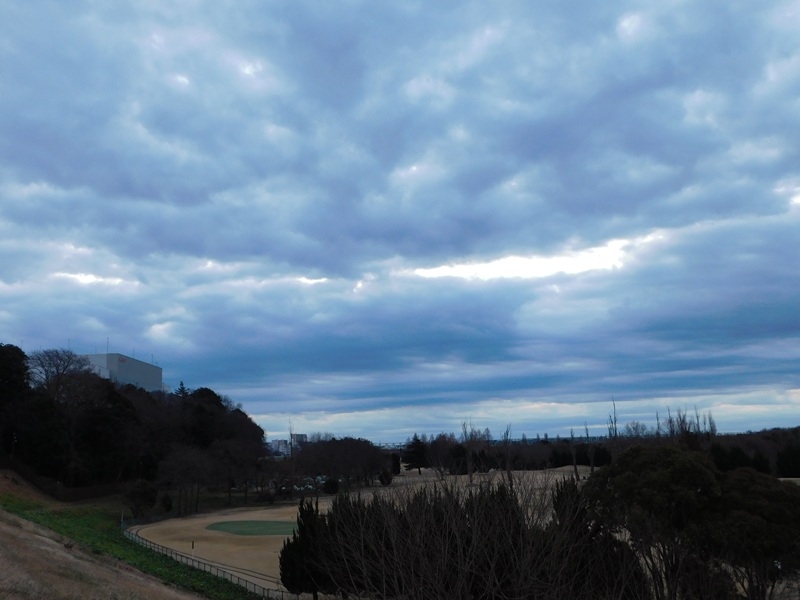 利根川の土手から