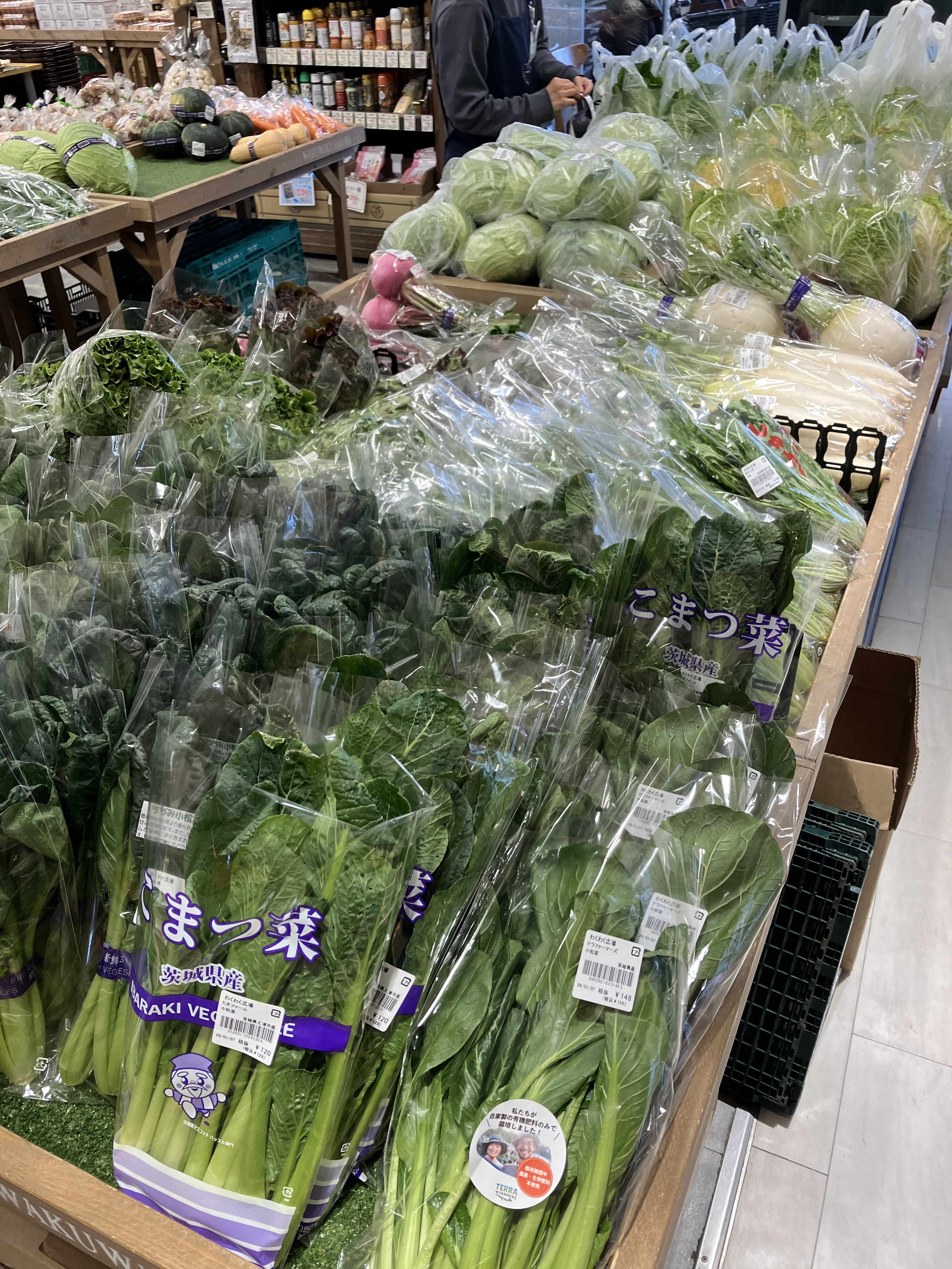 わくわく広場で新鮮野菜