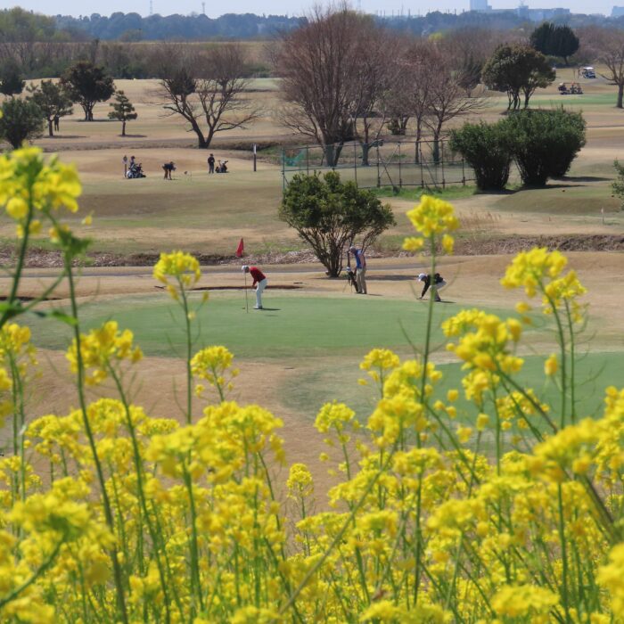 ゴルフ日和の取手