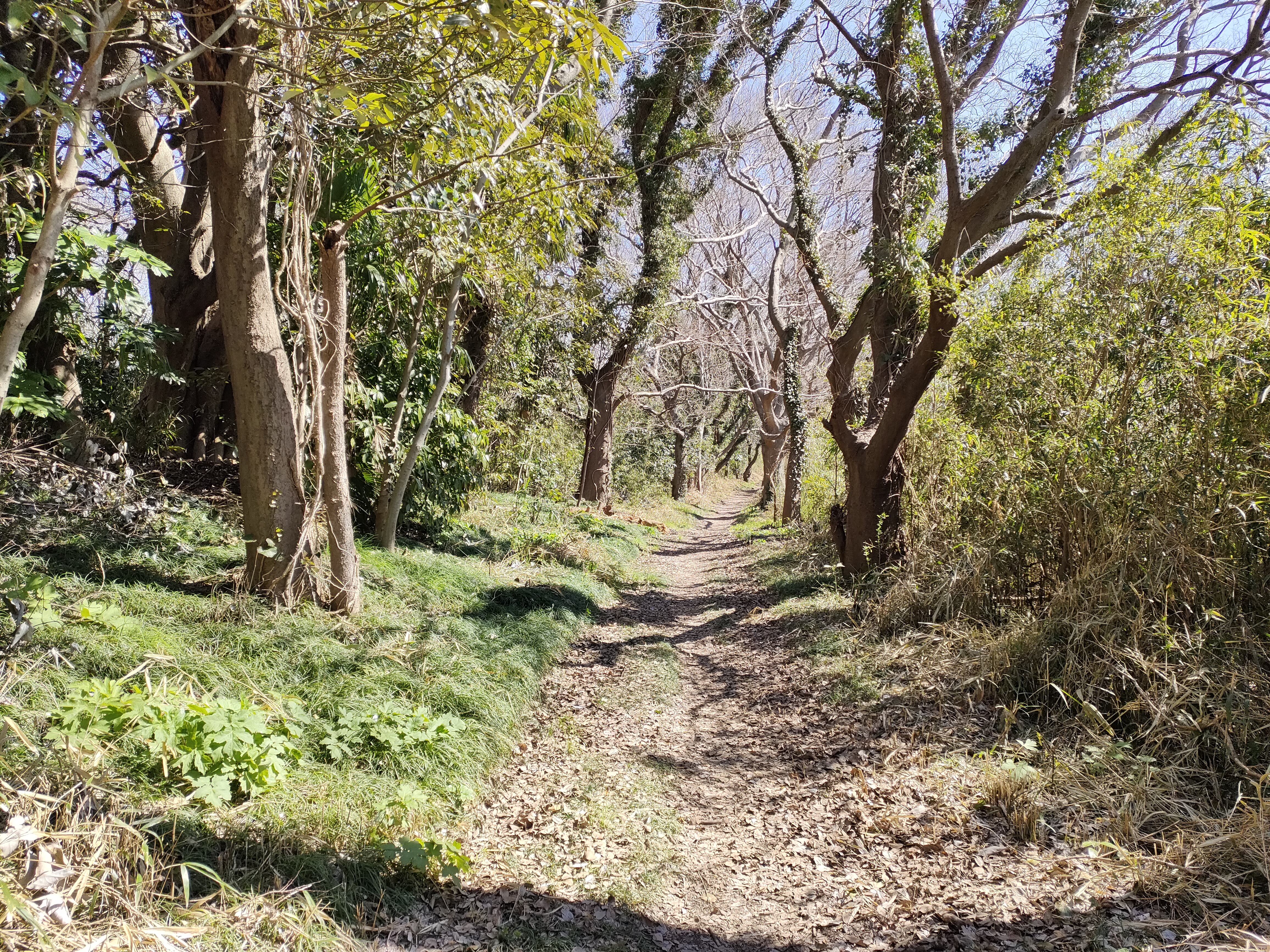 くるみの森　散策