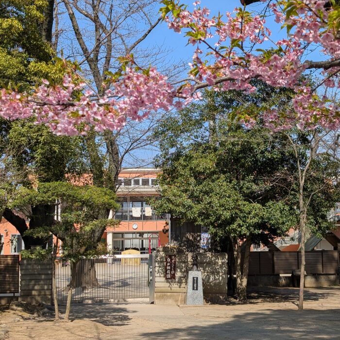 弘経寺のさくら