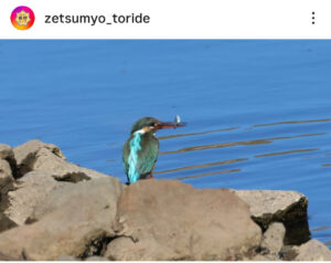 市長賞　魚捕まえた！