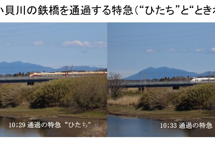 早春の下り特急　“ひたち”　“ときわ”