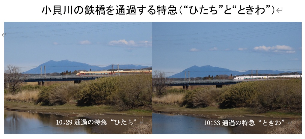 早春の下り特急　“ひたち”　“ときわ”