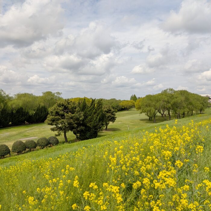 利根パークゴルフ場でプロゴルフツアー開催中！