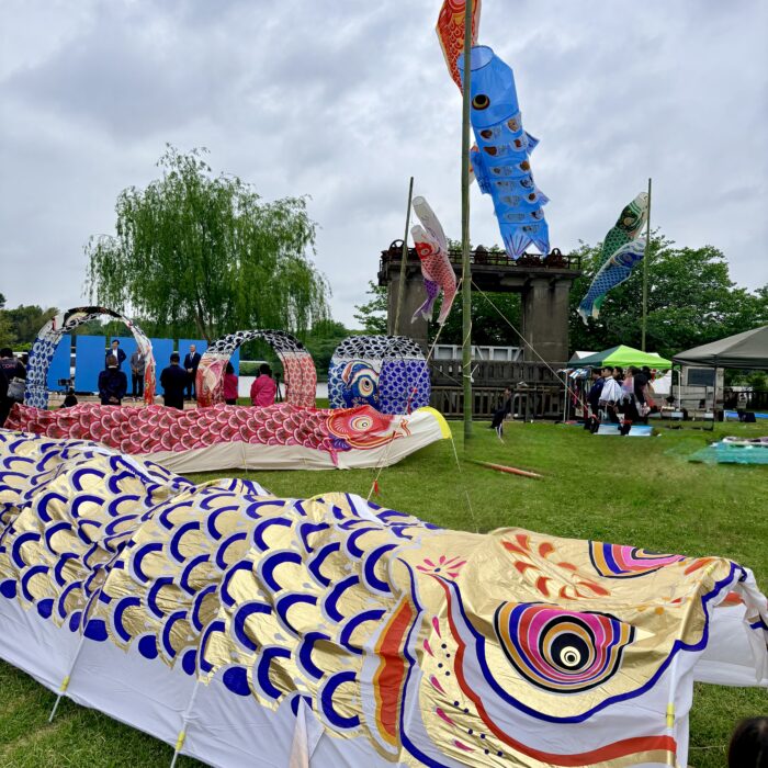 鯉のぼりプロジェクトin岡堰