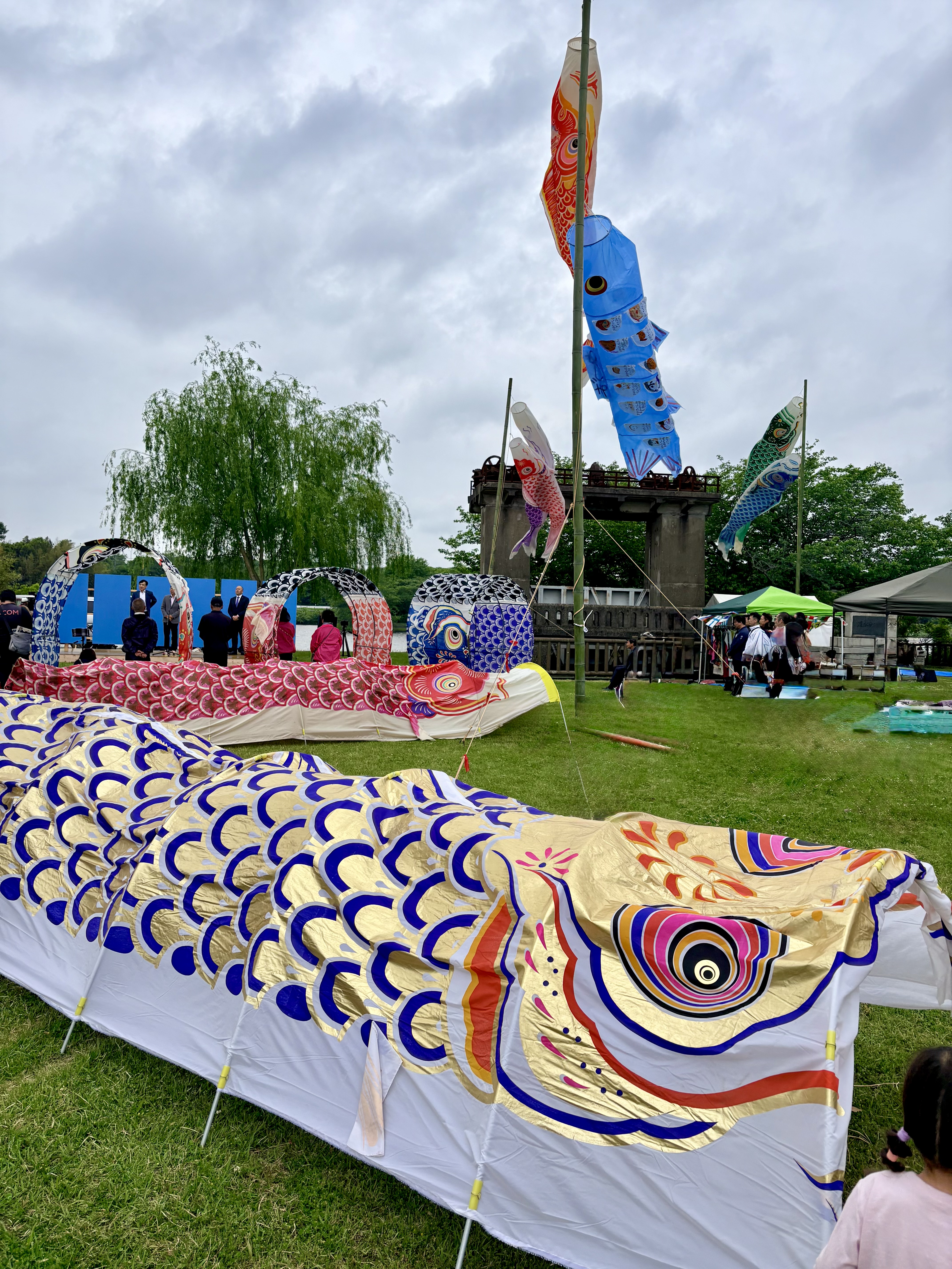 鯉のぼりプロジェクトin岡堰